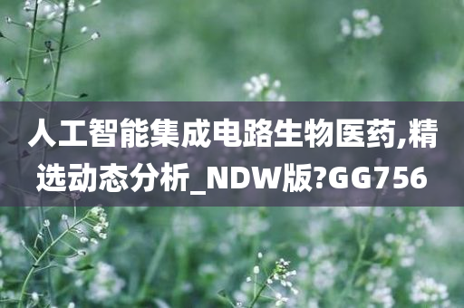 人工智能集成电路生物医药,精选动态分析_NDW版?GG756