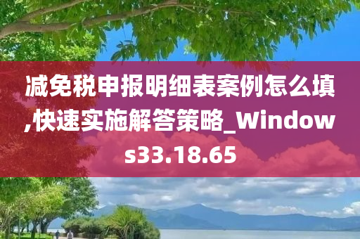 减免税申报明细表案例怎么填,快速实施解答策略_Windows33.18.65