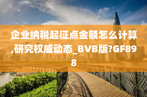 企业纳税起征点金额怎么计算,研究权威动态_BVB版?GF898