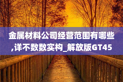 金属材料公司经营范围有哪些,详不数数实构_解放版GT45