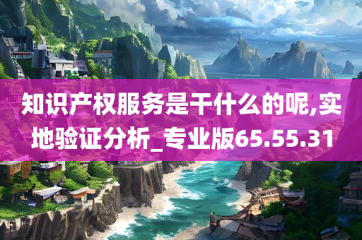 知识产权服务是干什么的呢,实地验证分析_专业版65.55.31