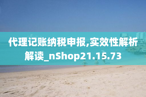 代理记账纳税申报,实效性解析解读_nShop21.15.73