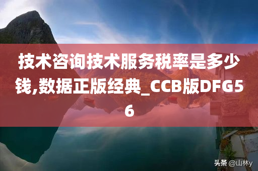 技术咨询技术服务税率是多少钱,数据正版经典_CCB版DFG56