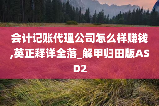 会计记账代理公司怎么样赚钱,英正释详全落_解甲归田版ASD2