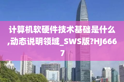 计算机软硬件技术基础是什么,动态说明领域_SWS版?HJ6667