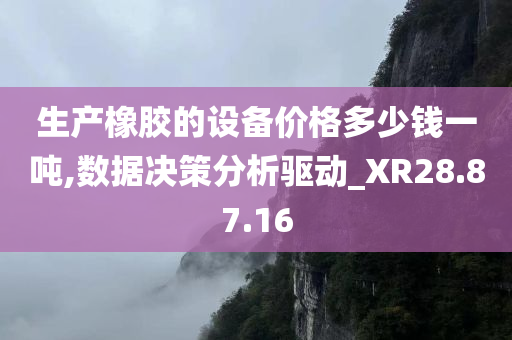 生产橡胶的设备价格多少钱一吨,数据决策分析驱动_XR28.87.16