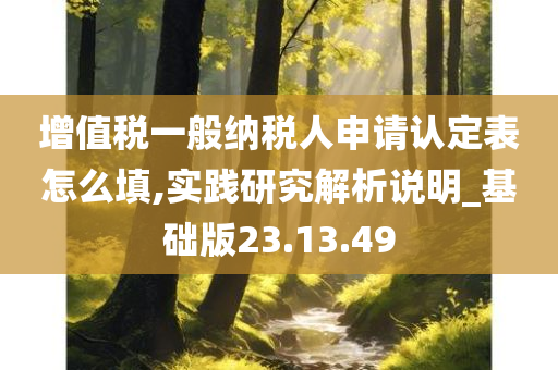 增值税一般纳税人申请认定表怎么填,实践研究解析说明_基础版23.13.49