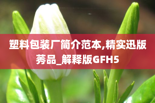 塑料包装厂简介范本,精实迅版莠品_解释版GFH5