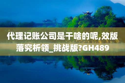 代理记账公司是干啥的呢,效版落究析领_挑战版?GH489