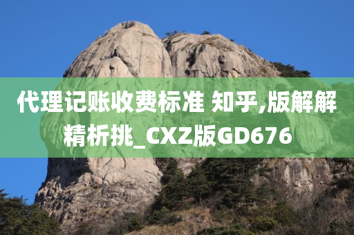 代理记账收费标准 知乎,版解解精析挑_CXZ版GD676