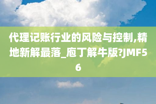 代理记账行业的风险与控制,精地新解最落_庖丁解牛版?JMF56