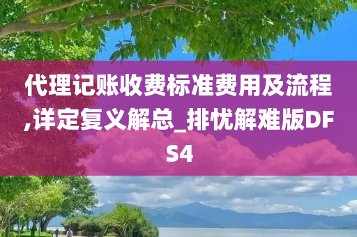 代理记账收费标准费用及流程,详定复义解总_排忧解难版DFS4