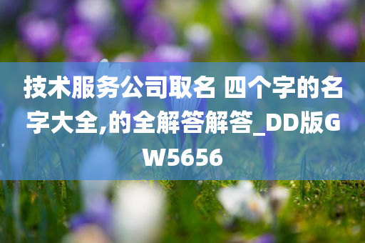 技术服务公司取名 四个字的名字大全,的全解答解答_DD版GW5656