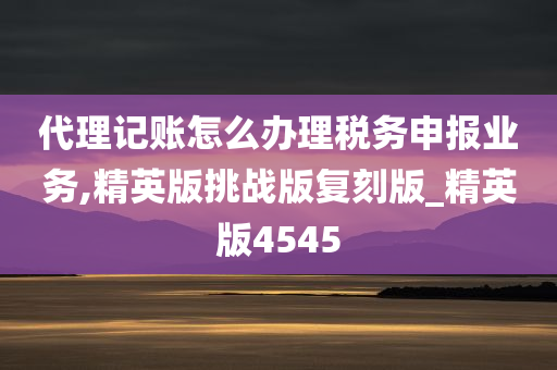 代理记账怎么办理税务申报业务,精英版挑战版复刻版_精英版4545