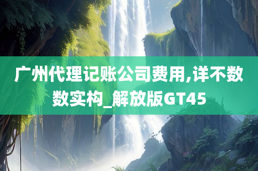 广州代理记账公司费用,详不数数实构_解放版GT45