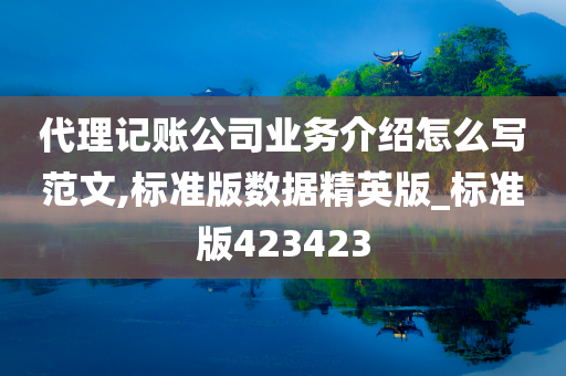 代理记账公司业务介绍怎么写范文,标准版数据精英版_标准版423423