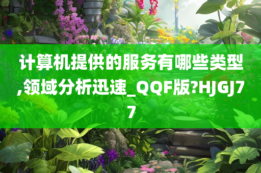 计算机提供的服务有哪些类型,领域分析迅速_QQF版?HJGJ77