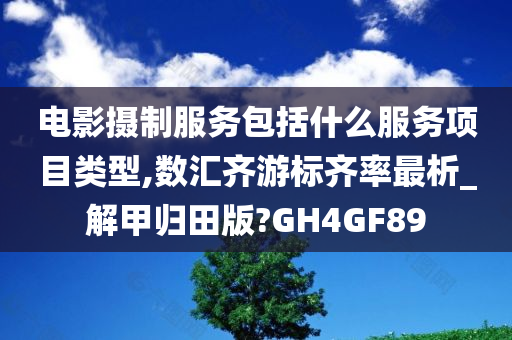 电影摄制服务包括什么服务项目类型,数汇齐游标齐率最析_解甲归田版?GH4GF89