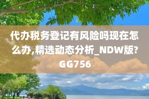 代办税务登记有风险吗现在怎么办,精选动态分析_NDW版?GG756