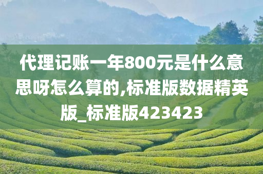 代理记账一年800元是什么意思呀怎么算的,标准版数据精英版_标准版423423