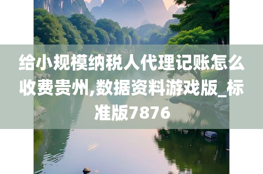 给小规模纳税人代理记账怎么收费贵州,数据资料游戏版_标准版7876