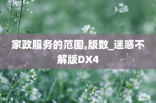 家政服务的范围,版数_迷惑不解版DX4