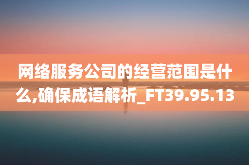 网络服务公司的经营范围是什么,确保成语解析_FT39.95.13