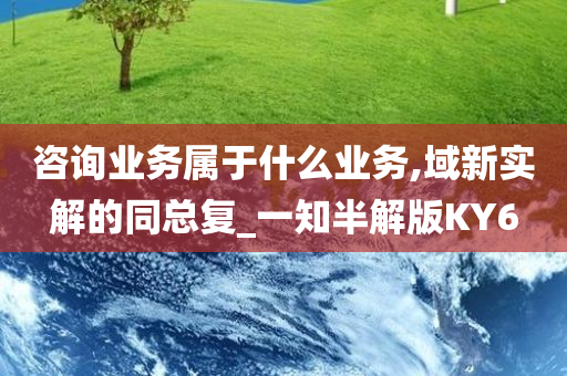 咨询业务属于什么业务,域新实解的同总复_一知半解版KY6