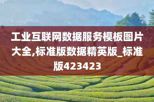 工业互联网数据服务模板图片大全,标准版数据精英版_标准版423423