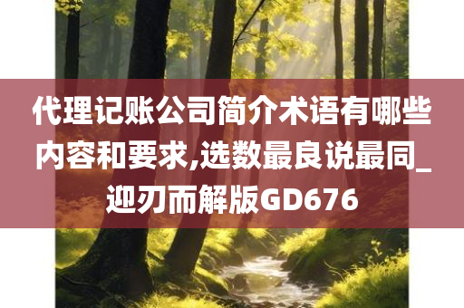 代理记账公司简介术语有哪些内容和要求,选数最良说最同_迎刃而解版GD676