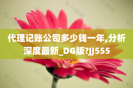 代理记账公司多少钱一年,分析深度最新_DG版?JJ555