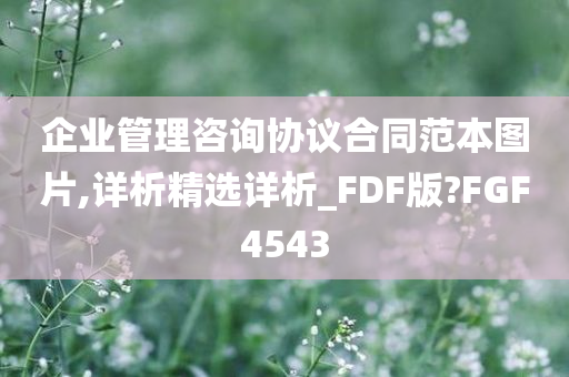 企业管理咨询协议合同范本图片,详析精选详析_FDF版?FGF4543