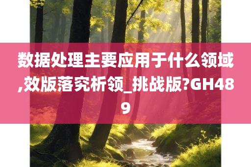 数据处理主要应用于什么领域,效版落究析领_挑战版?GH489