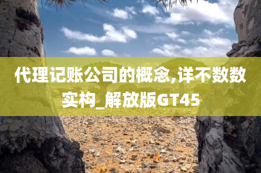 代理记账公司的概念,详不数数实构_解放版GT45