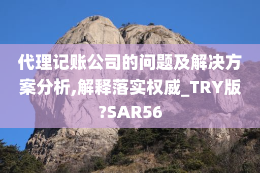 代理记账公司的问题及解决方案分析,解释落实权威_TRY版?SAR56