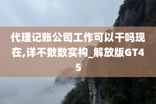 代理记账公司工作可以干吗现在,详不数数实构_解放版GT45