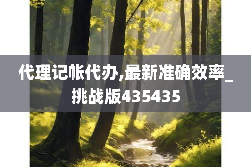 代理记帐代办,最新准确效率_挑战版435435