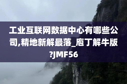 工业互联网数据中心有哪些公司,精地新解最落_庖丁解牛版?JMF56