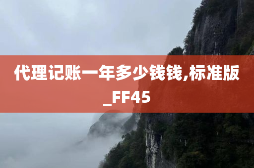 代理记账一年多少钱钱,标准版_FF45