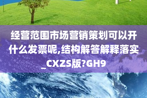 经营范围市场营销策划可以开什么发票呢,结构解答解释落实_CXZS版?GH9