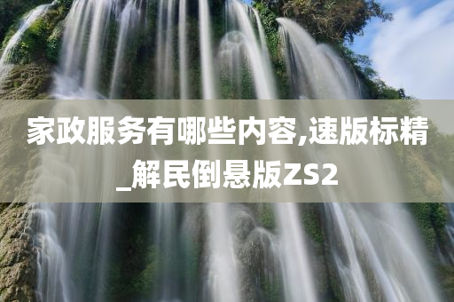 家政服务有哪些内容,速版标精_解民倒悬版ZS2