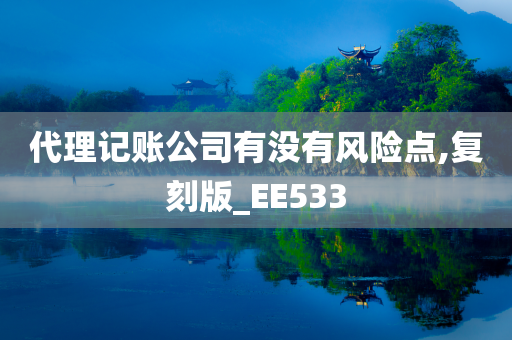 代理记账公司有没有风险点,复刻版_EE533