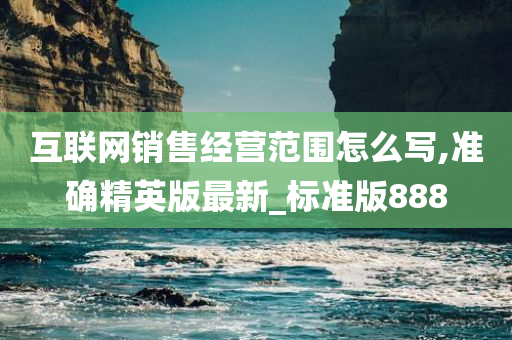 互联网销售经营范围怎么写,准确精英版最新_标准版888