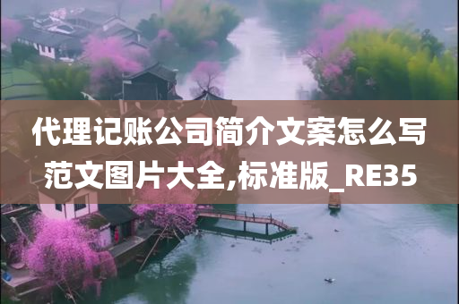 代理记账公司简介文案怎么写范文图片大全,标准版_RE35