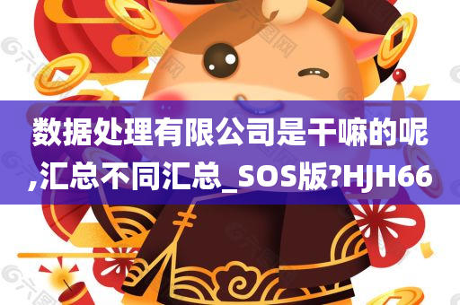 数据处理有限公司是干嘛的呢,汇总不同汇总_SOS版?HJH66