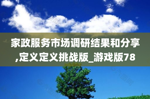 家政服务市场调研结果和分享,定义定义挑战版_游戏版78