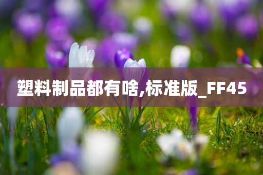 塑料制品都有啥,标准版_FF45