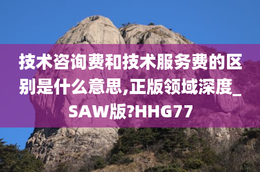 技术咨询费和技术服务费的区别是什么意思,正版领域深度_SAW版?HHG77