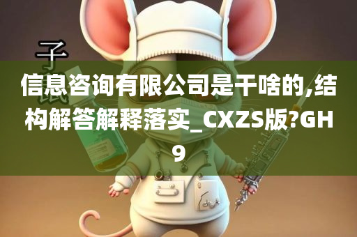 信息咨询有限公司是干啥的,结构解答解释落实_CXZS版?GH9