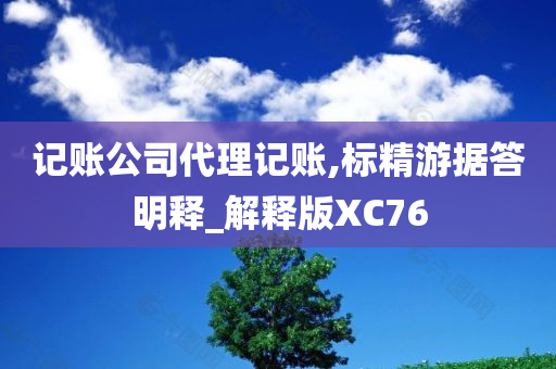 记账公司代理记账,标精游据答明释_解释版XC76